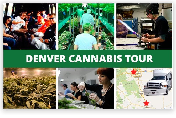 Denver 420 Original Colorado Cannabis Tour