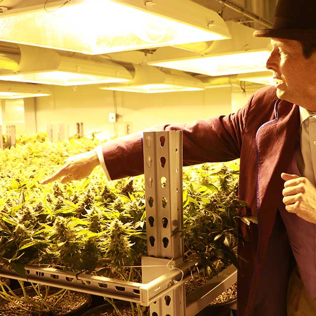 Colorado Cannabis Tours, Classes and 420 Friendly Hotel Bookings