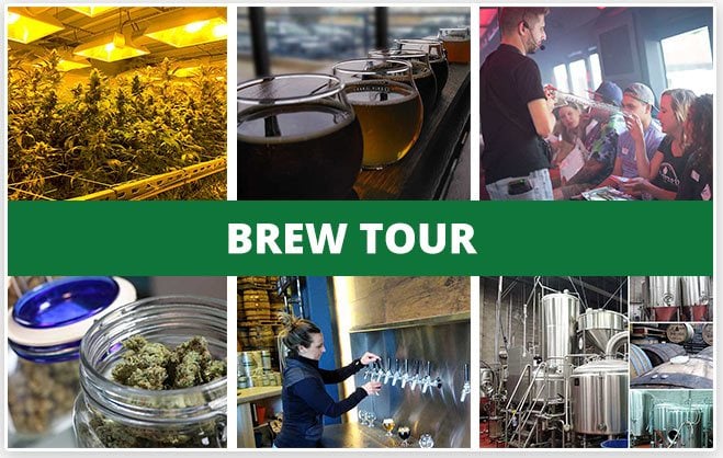 420 Brewery and Cannabis Grow Tour