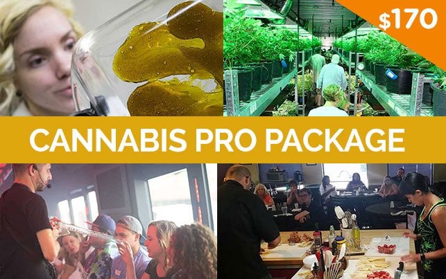 Cannabis Pro Package, Tour, Concentrates Class, Cooking Class