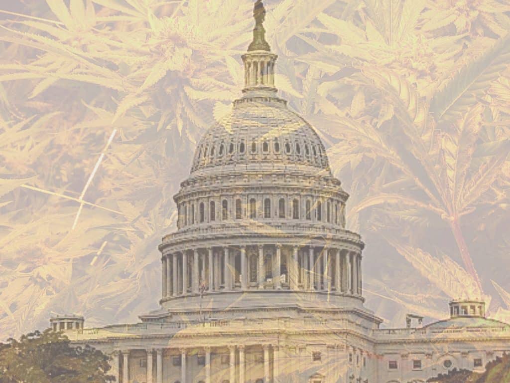 Cannabis Legal in DC