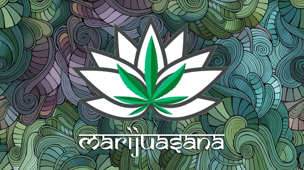 Colorado Cannabis Tours Marijuasana
