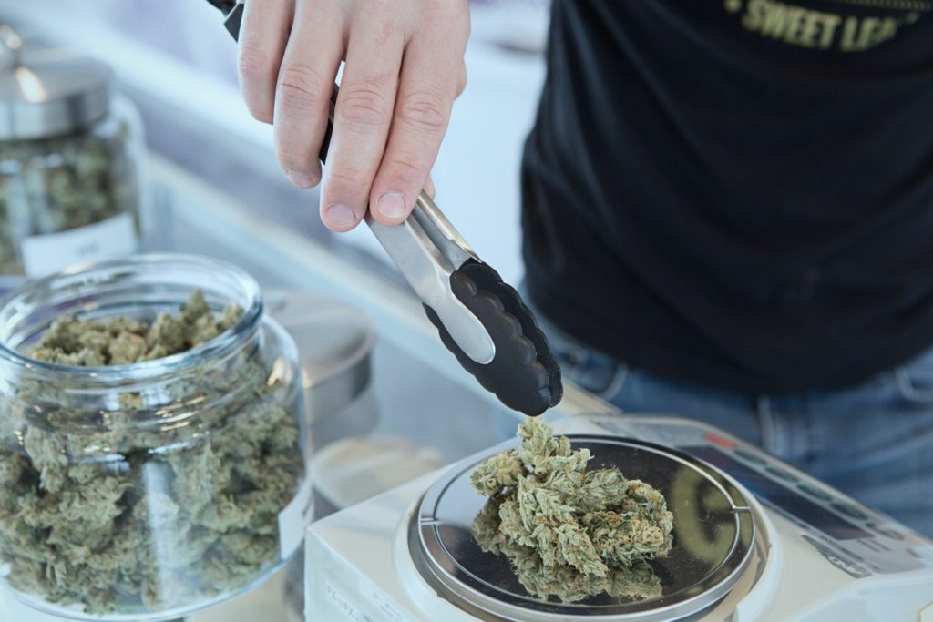 budtender weighing out cannabis
