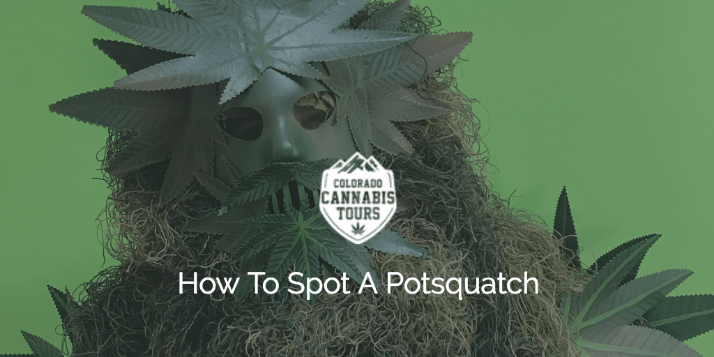 Potsquatch