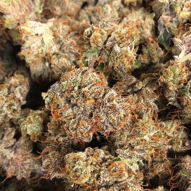 Types of Weed Dank, TopShelf, Midgrade, Bad Reggie Weed Overview