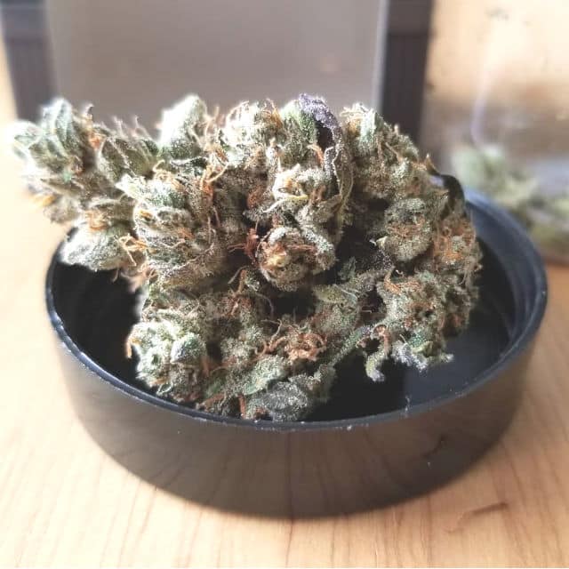 top-shelf-weed