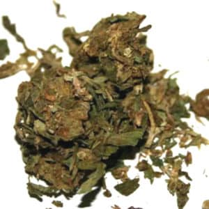 schwag-weed-greenrushdaily