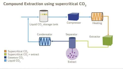 Proceso de extracción de aceite de CO2