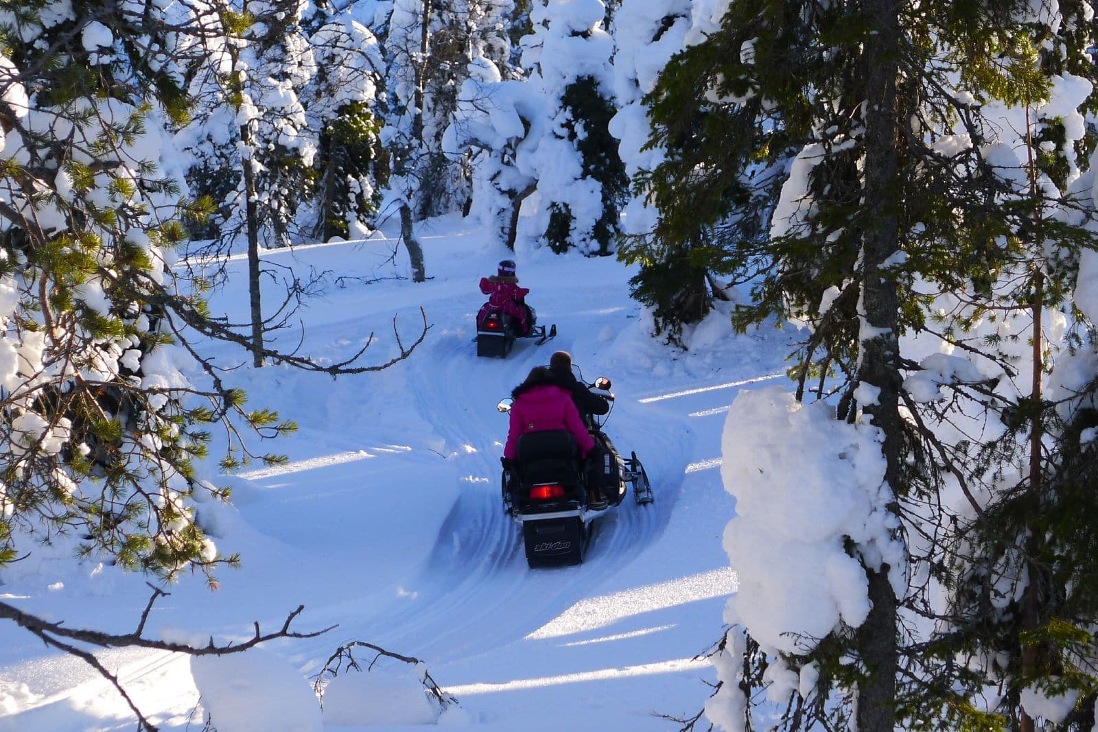 snowmobile tours denver area