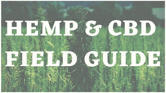 HEMP & CBD USES, BENEFITS GUIDE