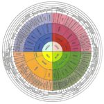 Trichomes, Terpenes & Terpenoids: Guide To What They Are And Their Uses 