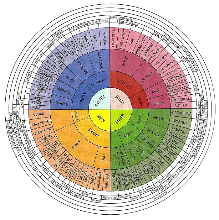 terpenes wheel chart