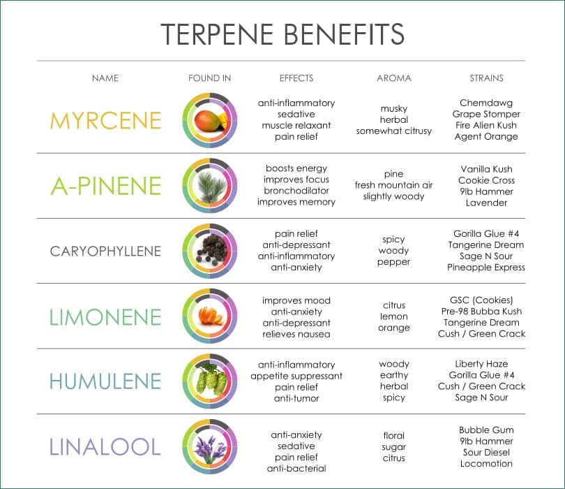 types of terpenes