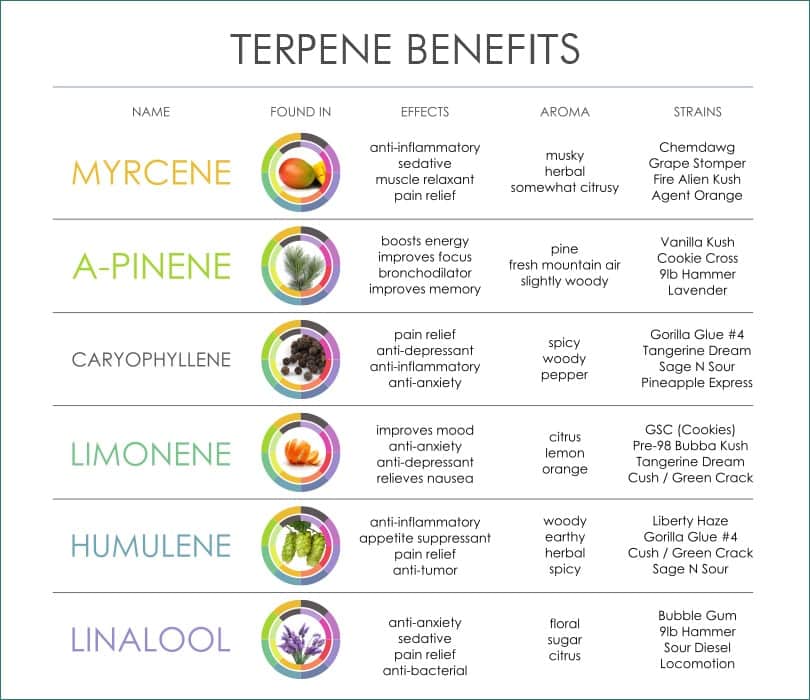 Trichomes Terpenes Terpenoids Guide To What They Are And Their Uses 