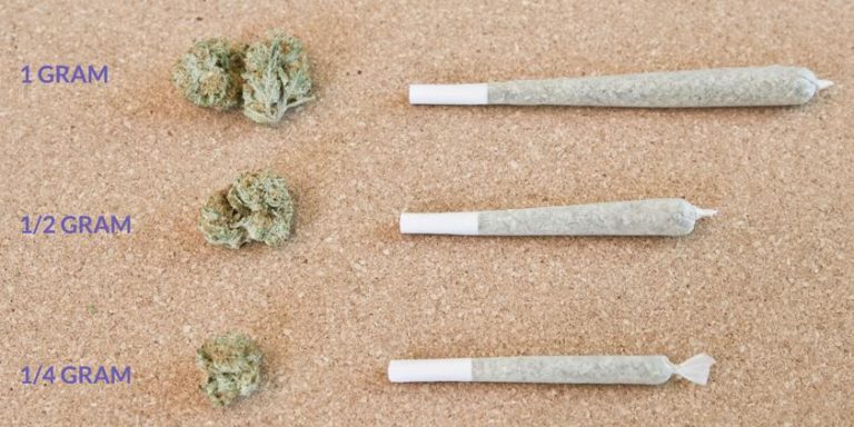 Weed Measurements Guide Marijuana Quantities Weights Prices