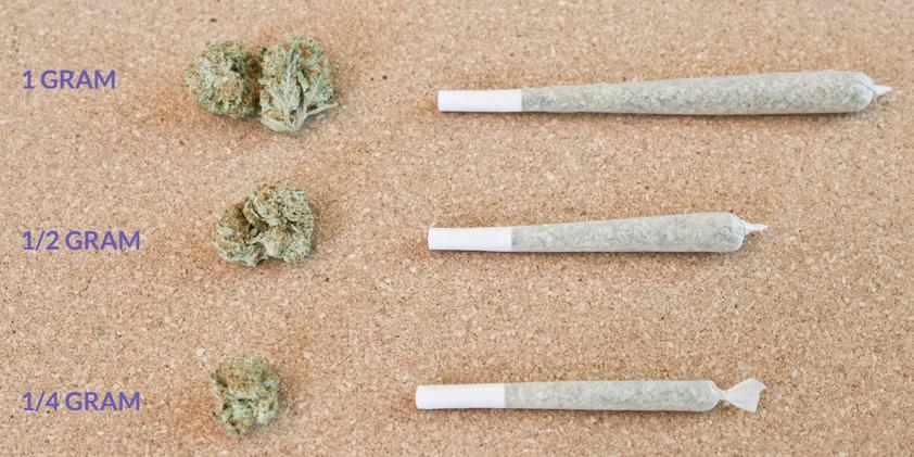 Weed Measurements Guide: Quantities, Weights, Prices