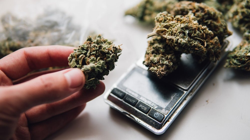 Top 10 Best Weed Scales - Buying Guide 2023