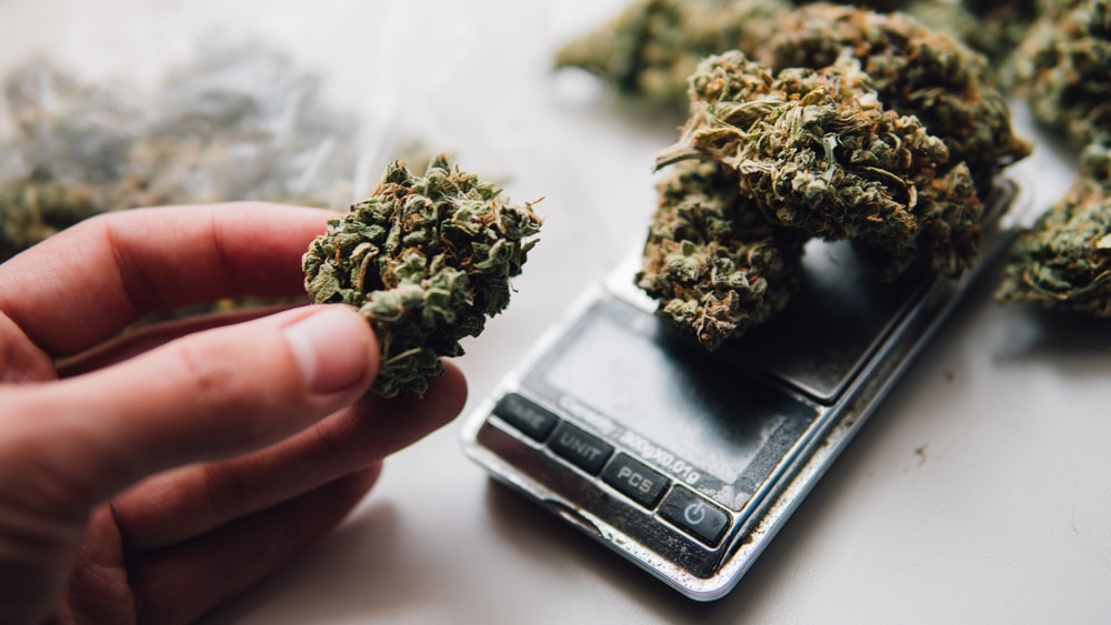 Quarter Bag Of Weed Weight Blog Dandk