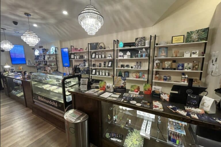 14+ Best Denver Dispensaries That You Must Check Out