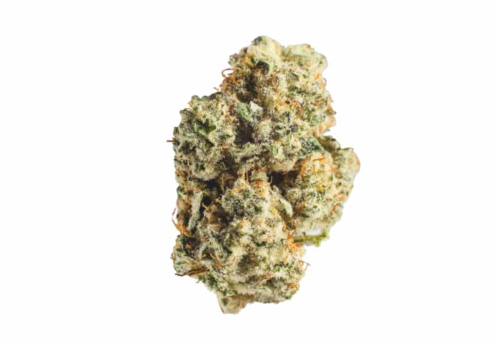 Blue Dream Hybrid Marijuana Strain