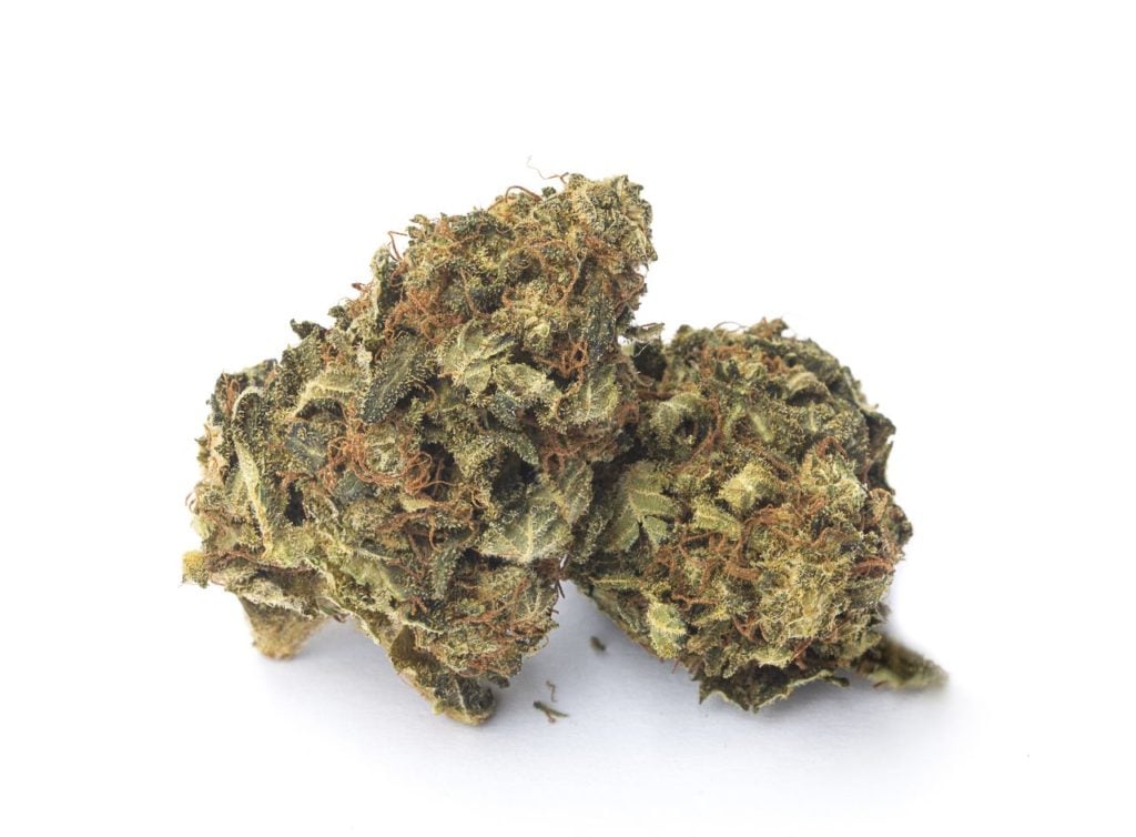 Chemdawg Hybrid Marijuana Strain