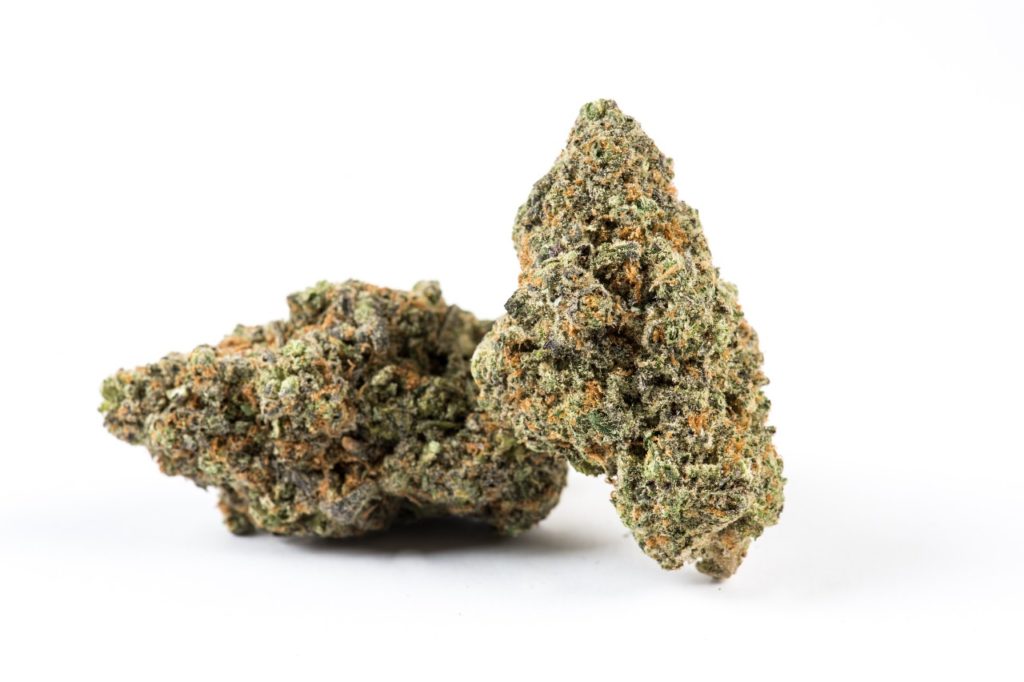 Durban Poison Sativa Marijuana Strain