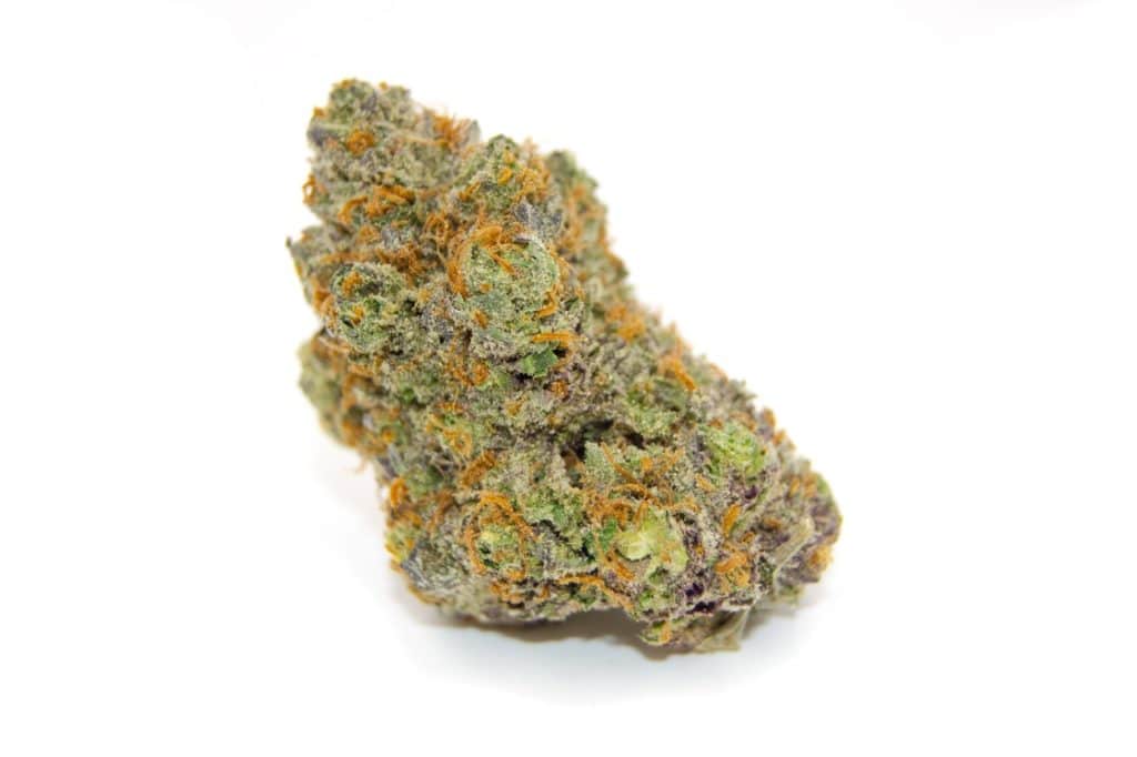 Gorilla Glue #4 (marijuana review) – The Denver Post