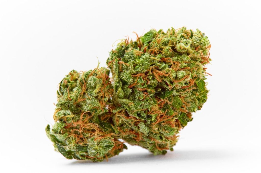 Green Crack Sativa Marijuana Strain