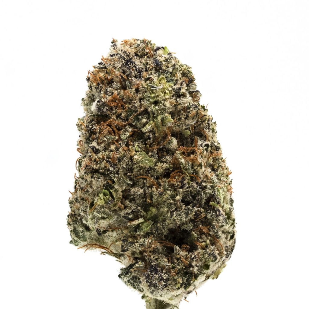 Northern Lights Indica Marijuana Strain