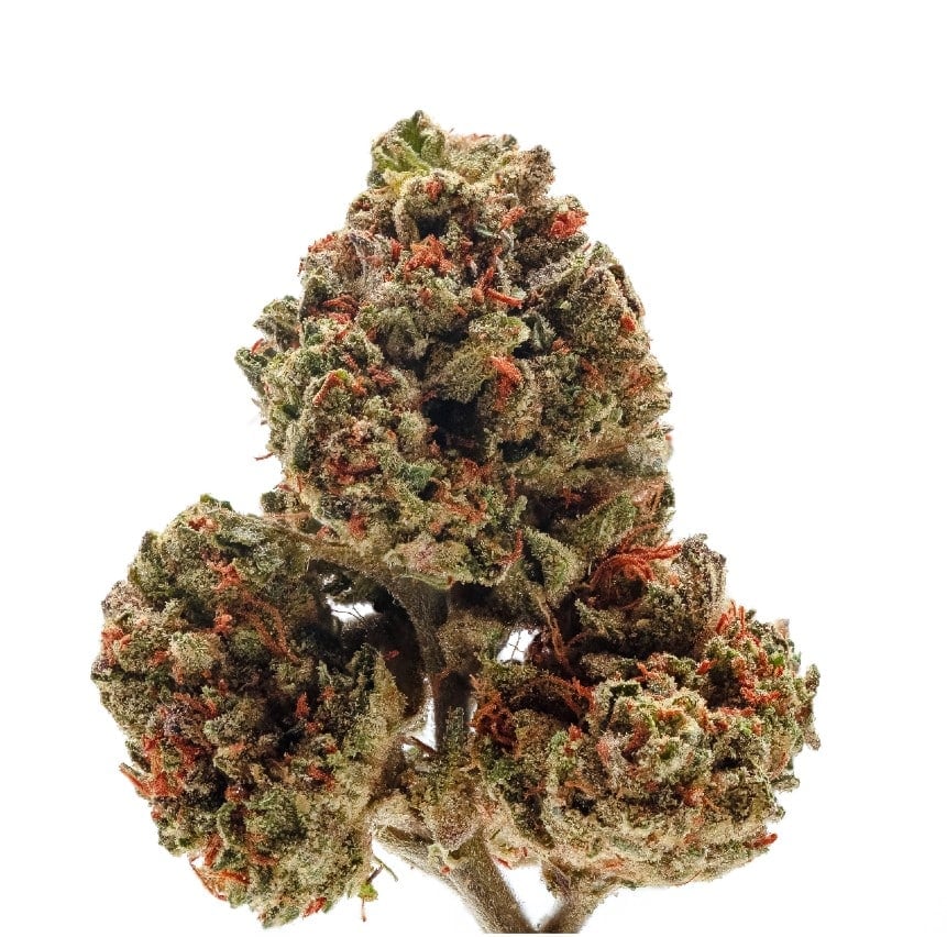 OG Kush Indica Marijuana Strain