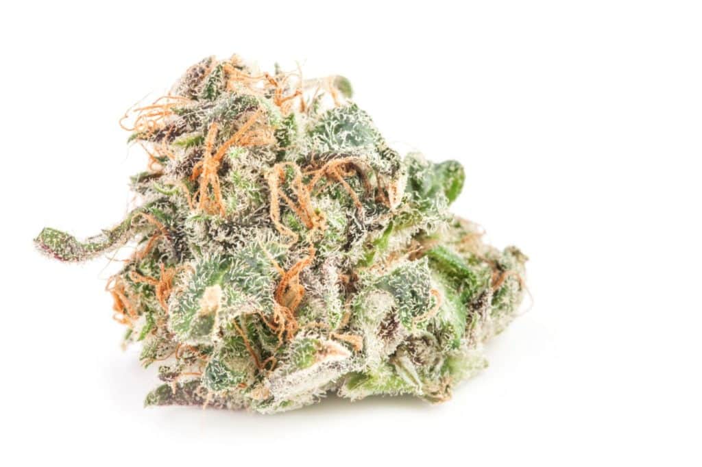 Super Silver Haze Sativa Marijuana Strain