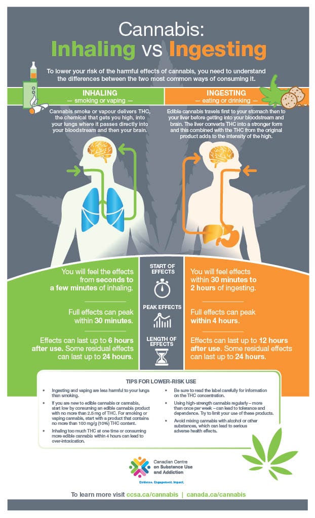 infographic about the difference between inhaling vs ingesting cannabis